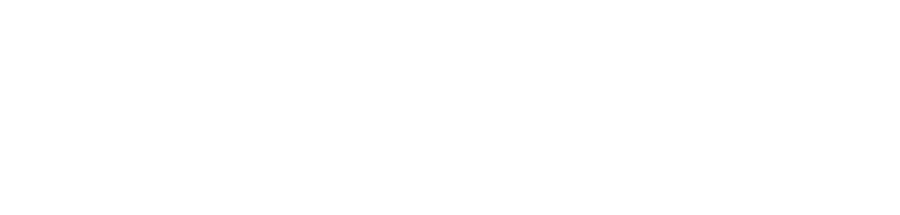 Eesti Metsameister
